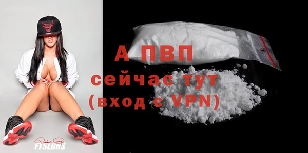 шишки Магадан