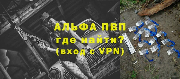 молекула духа Липки