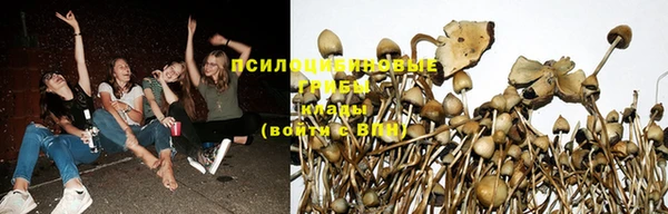 молекула духа Липки